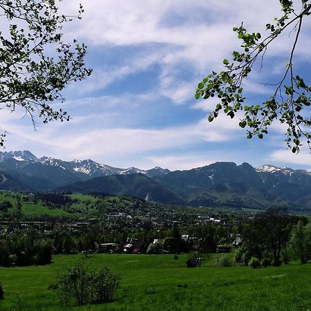 Quality House - Cisza Nad Dolina Villa Zakopane Kültér fotó
