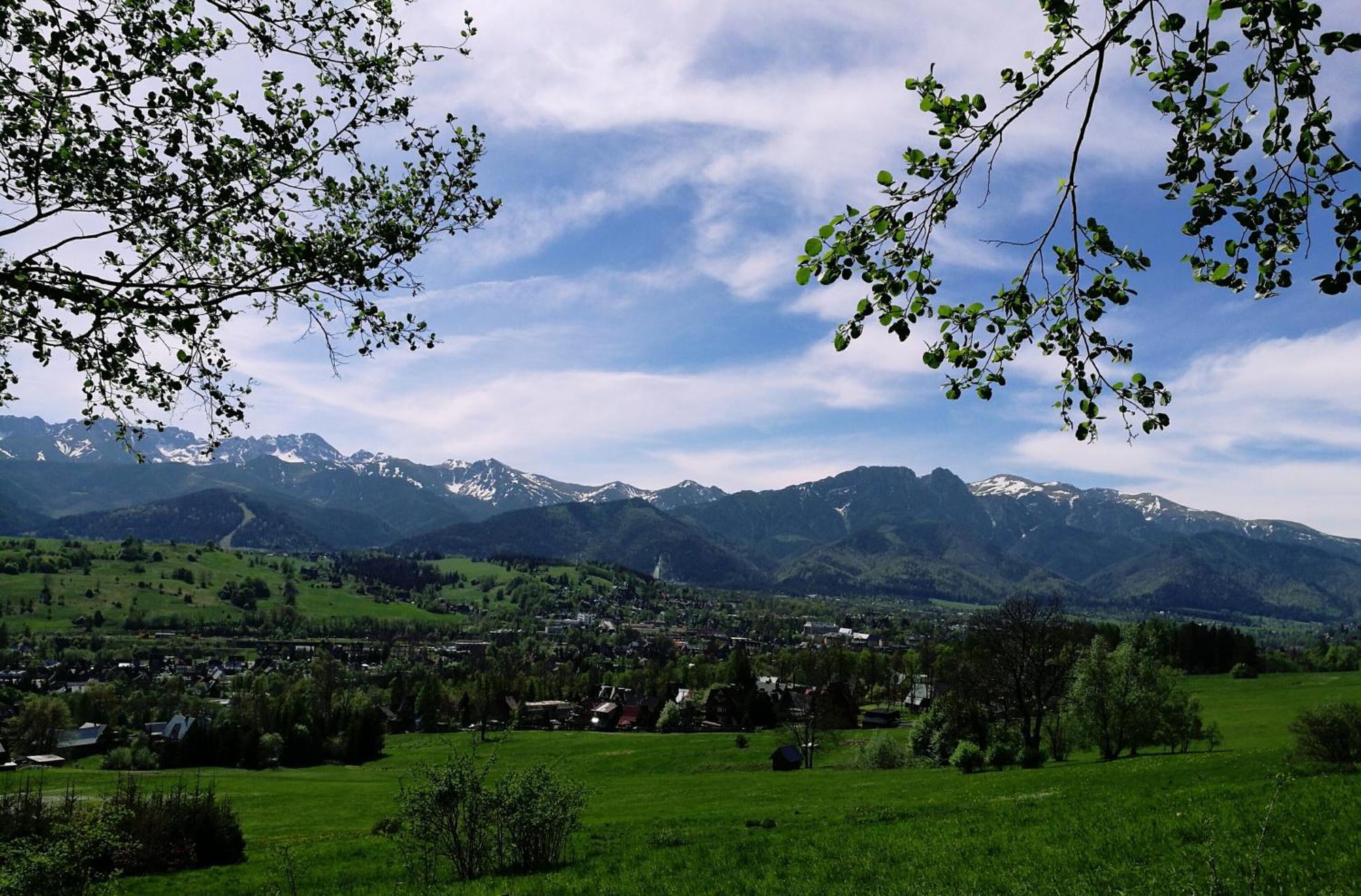 Quality House - Cisza Nad Dolina Villa Zakopane Kültér fotó